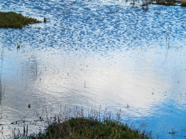  kırsal baharda su birikintisi 