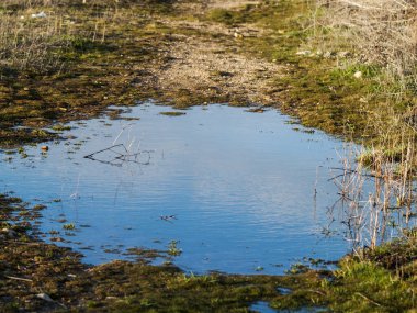  kırsal baharda su birikintisi 