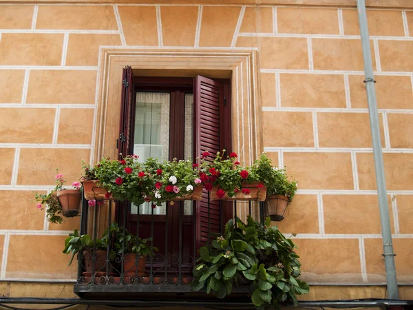 Building decorated with flowers in  Salamanca, Spain