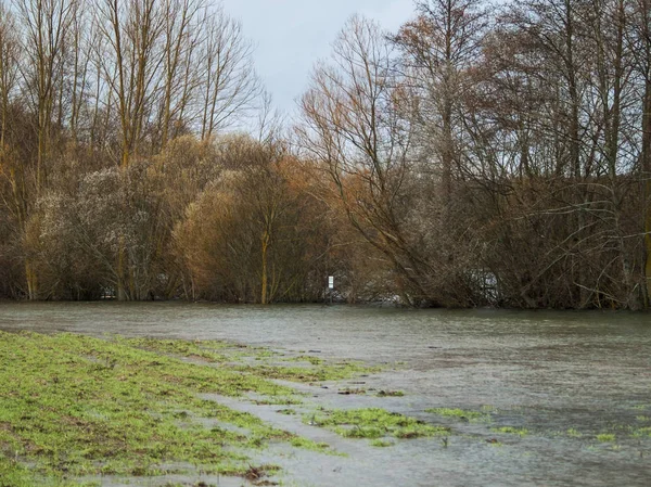 Puddle Water Spring Countryside — Stock Photo, Image