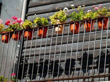 Bina çiçekler ile dekore edilmiş, Alberca, Salamanca, Ispanya