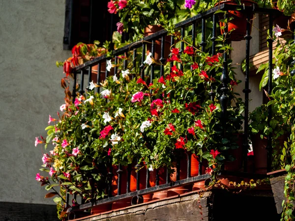 Immeuble Décoré Avec Des Fleurs Alberca Salamanque Espagne — Photo
