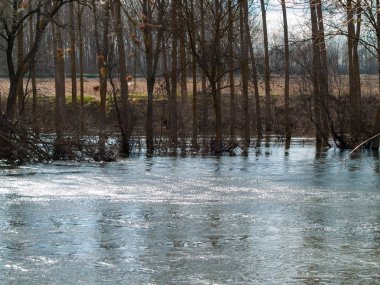 İlkbaharda kırsalda gölet suyu 