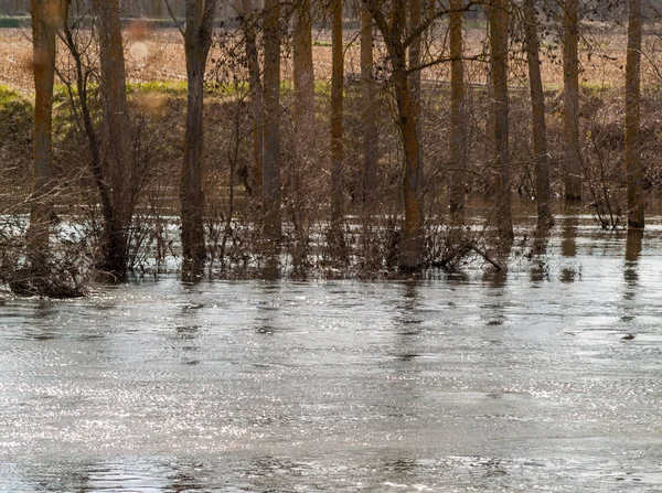 Vijverwater Lente Het Platteland — Stockfoto