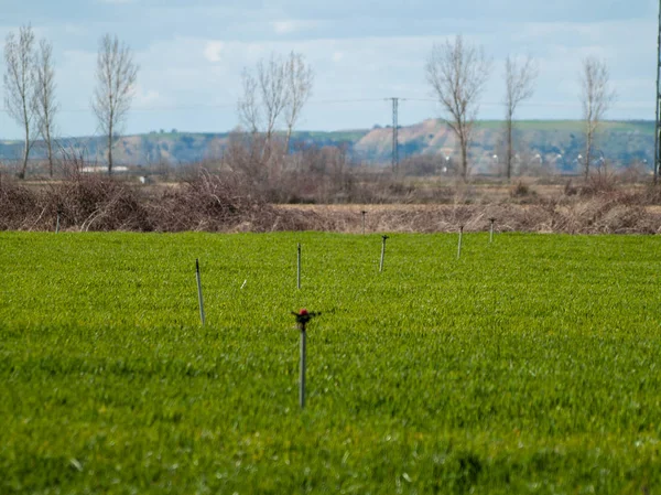 스페인에 시골에 시스템 — 스톡 사진
