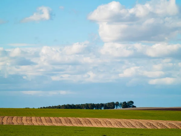 Hermoso Paisaje Salamanca España —  Fotos de Stock