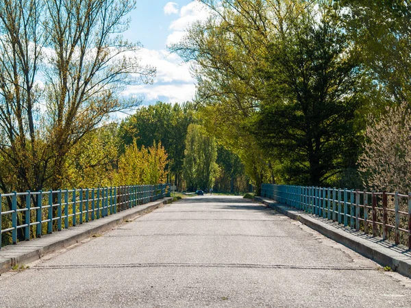 Bridge City Park Autumn — 스톡 사진