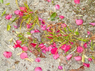 Masa ve Banklar İspanya'da güzel göl. Doğa, seyahat