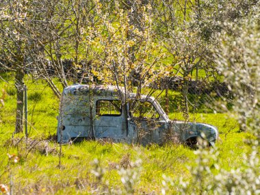 bahçede eski paslı araba , Salamanca, İspanya