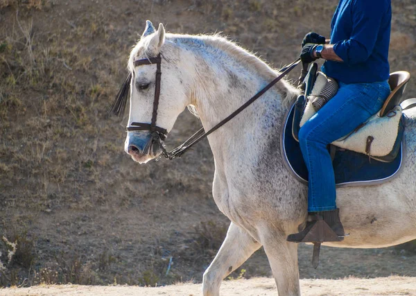 春の田舎の農場で馬に乗った男 — ストック写真