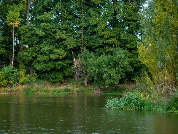 Krajobraz Rzeki Spokojny Jesienią Spokojne Wody Która Inspiruje Cisza Spokój — Zdjęcie stockowe