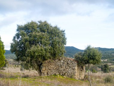 Dağ manzarası içinde Cenicientos, Madrid, İspanya 
