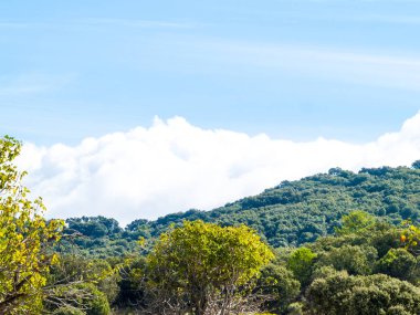 Kırsal, İspanya'da güzel manzara 
