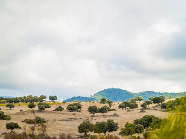 Mountain Landscape Cenicientos Madrid Spain — Stock Photo, Image