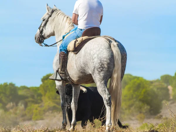 農場で馬に乗っている男の作物のイメージ — ストック写真