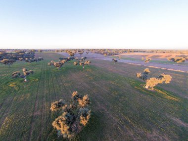 alanın havadan görüntüsü 