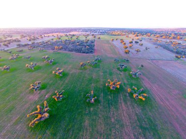 alanın havadan görüntüsü 