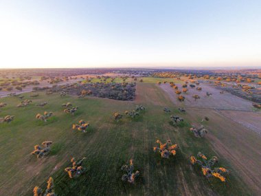 alanın havadan görüntüsü 