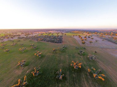 alanın havadan görüntüsü 