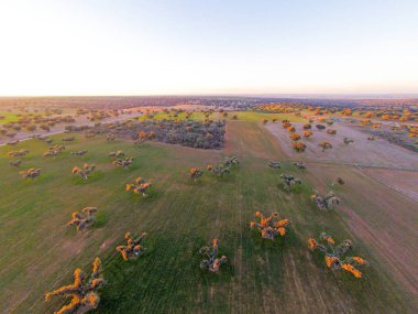 alanın havadan görüntüsü 