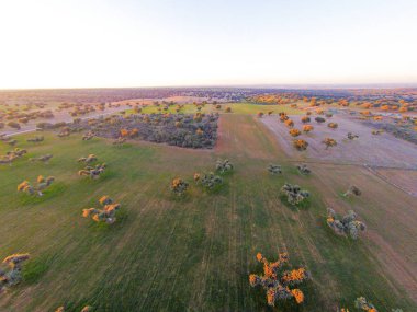 alanın havadan görüntüsü 