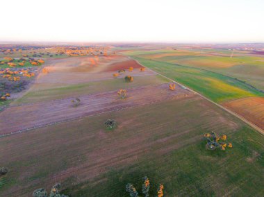 alanın havadan görüntüsü 