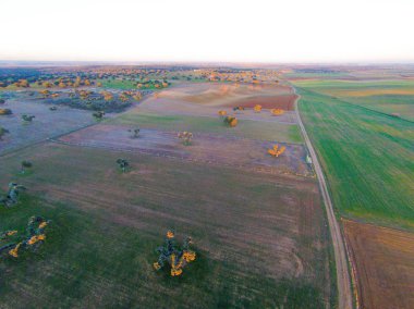 alanın havadan görüntüsü 