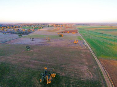 alanın havadan görüntüsü 