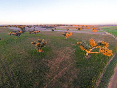 alanın havadan görüntüsü 