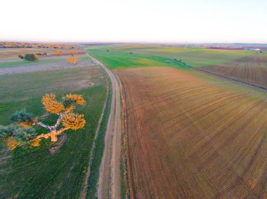 alanın havadan görüntüsü 