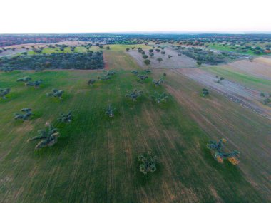 alanın havadan görüntüsü 