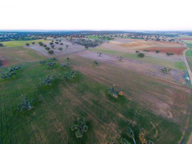 alanın havadan görüntüsü 