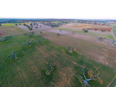 alanın havadan görüntüsü 