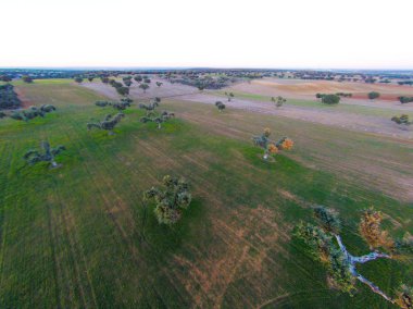 alanın havadan görüntüsü 