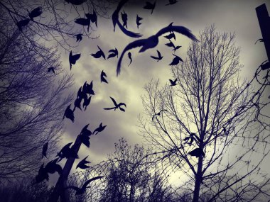  bulutlu gökyüzünde uçan sürüsü 