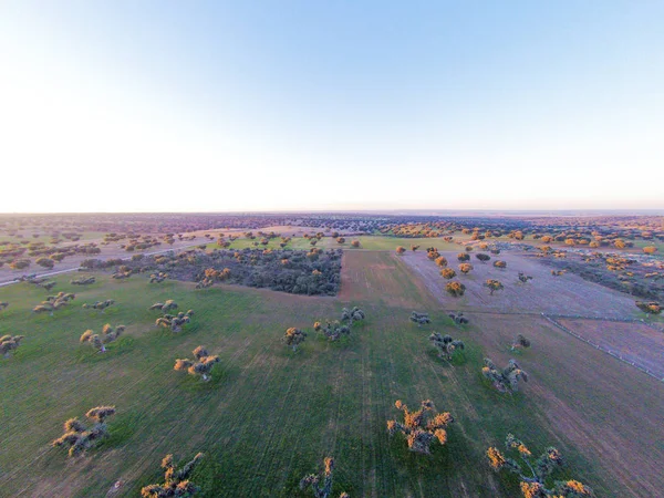 alanın havadan görüntüsü 