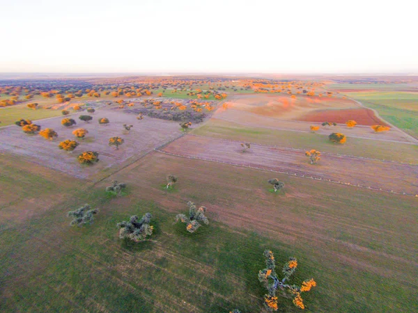 alanın havadan görüntüsü 