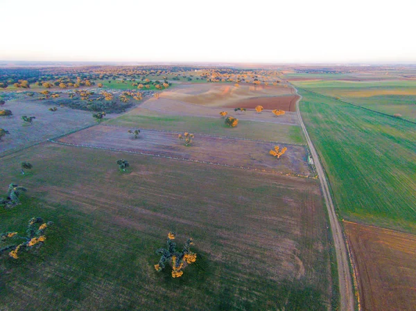 alanın havadan görüntüsü 