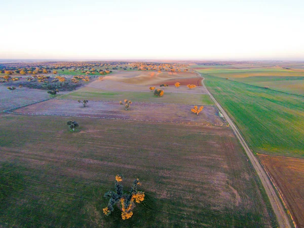 alanın havadan görüntüsü 