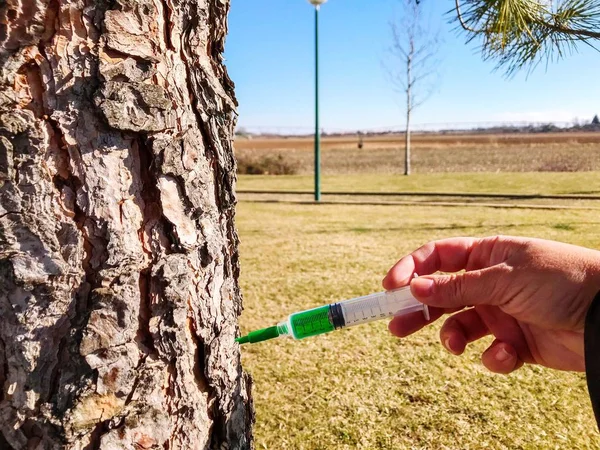 木の幹に注射器を入れる男 — ストック写真