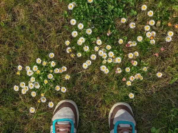 Voeten Van Persoon Gazon Voorjaar Wilde Bloemen Het Veld — Stockfoto