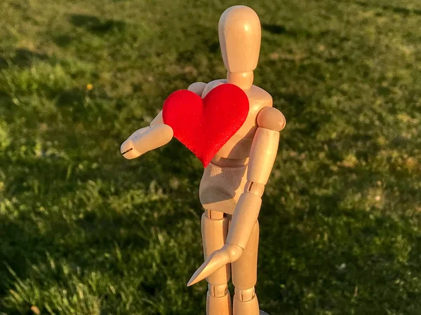 Træ Mannequin Med Rødt Hjerte Hænderne Begrebet Romantik Kærlighed - Stock-foto