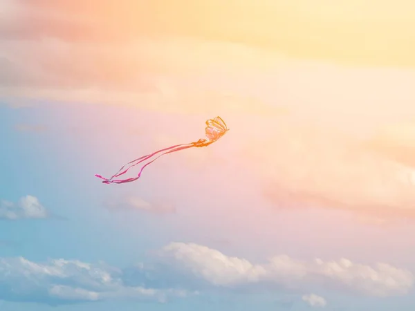 Aquilone Che Vola Nel Cielo Tra Nuvole — Foto Stock