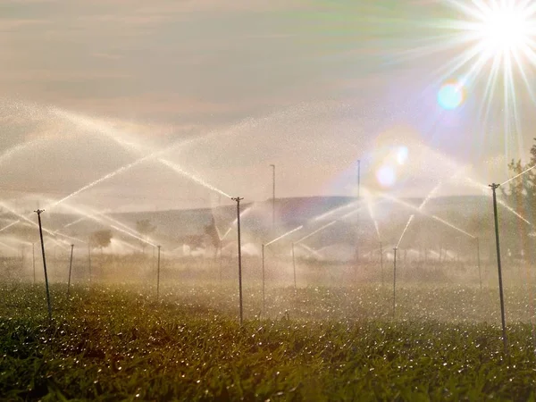 Sistema Irrigação Campo Espanha — Fotografia de Stock