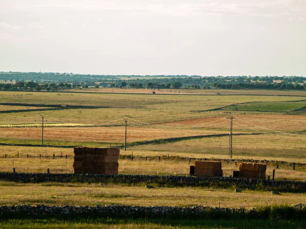 Field Cabeza Diego Gomez Salamanca España — Foto de Stock