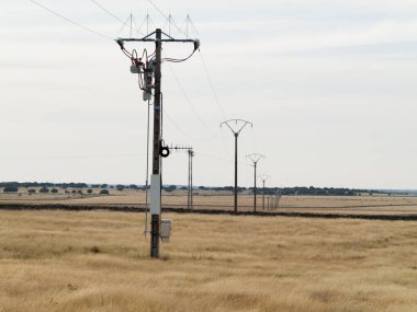 alan Cabeza de Diego Gomez, Salamanca, İspanya
