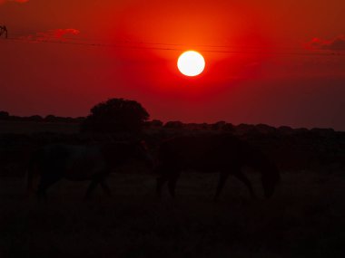 günbatımı Cabeza de Diego Gomez, Salamanca, İspanya
