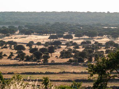 Doğa manzara Salamanca, İspanya