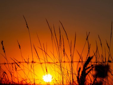 günbatımı turuncu gökyüzü Cabeza de Diego Gomez, Salamanca, İspanya