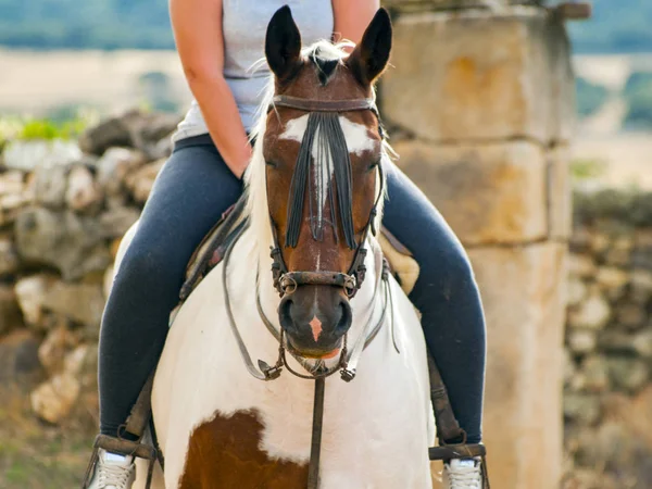 農場で馬に乗った女性のトリミング画像 — ストック写真